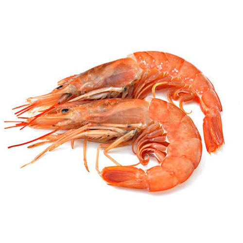 میگو کوچک (پلویی) میگو کوچک (پلویی)