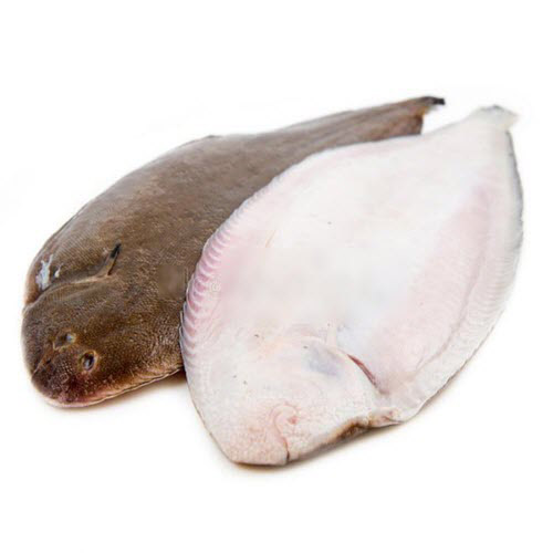 ماهی زبان ماهی زبان